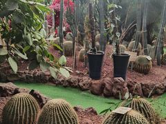-呀路古热带植物园