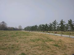 -汉长安城未央宫国家考古遗址公园