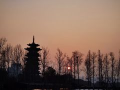 -洋湖国家湿地公园