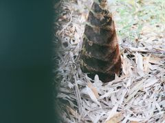 -树山生态村