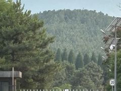 -秦始皇帝陵博物院-丽山园