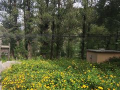 -玉渡山自然风景区