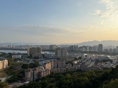 -福道