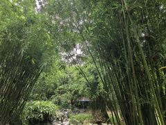 -汇龙潭