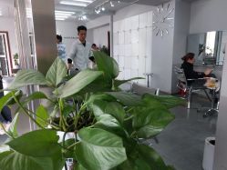 -I+造型烫发染发