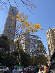 -杭州整形医院·国际部