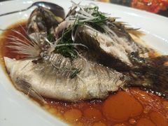 -东方红酒楼(知春路店)