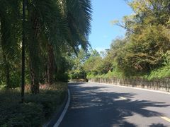 -老淳安—伴山伴湖(千岛湖开元度假村店)