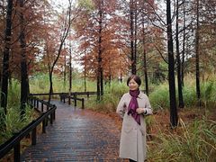 -梁鸿国家湿地公园