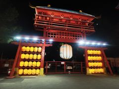 -特克斯八卦城