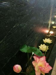 -脉道美容养生会所