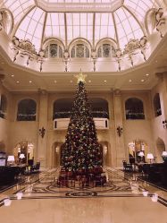 -大连城堡豪华精选酒店·宴会厅