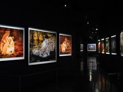 -罗红摄影艺术馆