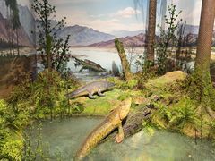 -国家自然博物馆