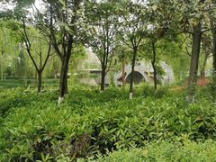 -西安汉城湖景区