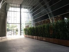 -证大喜玛拉雅中心