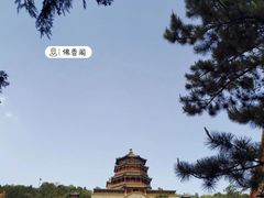 -颐和园