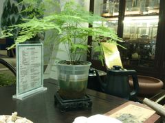-芒嘎拉古茶馆(陆羽茶都店)