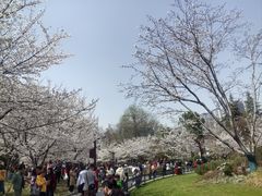 -堤角公园