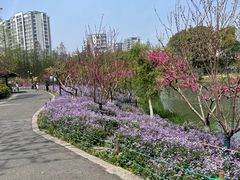 -圩墩遗址公园
