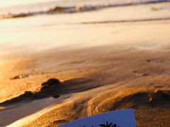 -那香海钻石沙滩浴场