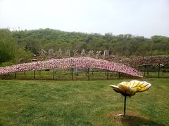 -金龙寺国家森林公园