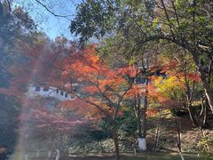 -南山风景名胜区