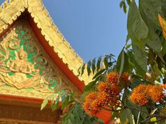 -西双版纳勐泐文化旅游区