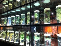 -广东中医药博物馆