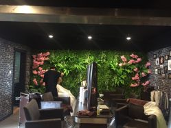 -藤野造型·专业烫染店