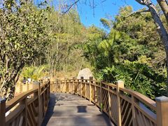 -神光山国家森林公园