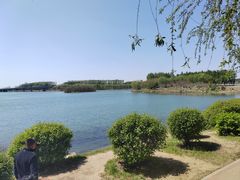 -丁香湖公园