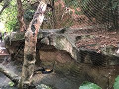 -青青世界