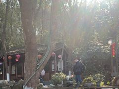 -天目湖山水园