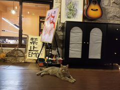 -猫岛主趣味餐厅(鼓浪屿店)