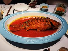 -阿五黄河大鲤鱼(英协路店)