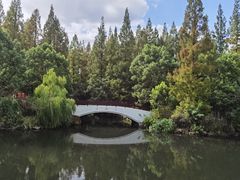 -东平国家森林公园