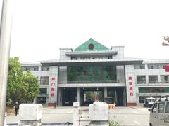 -打洛口岸