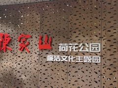 -陈家山荷花公园