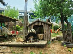 -大连森林动物园