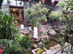 -海韵人家.海景花园经典云南菜(双廊店)