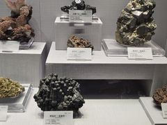 -湖南省地质博物馆
