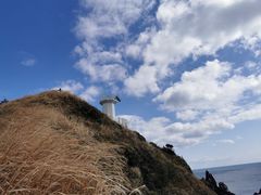 -涉地可支
