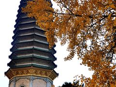 -八大处公园