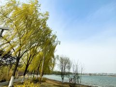 -北龙湖湿地公园
