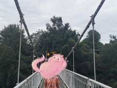 -保利石象湖景区