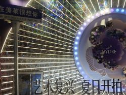 -深圳美莱医疗美容医院