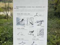 -同里国家湿地公园