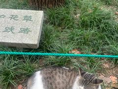 -西园戒幢律寺