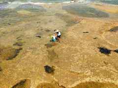 -日照灯塔风景区